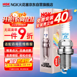 NGK 90565火花塞铱铂金双针四只装雷诺科雷傲科雷嘉