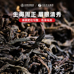 川红 高山兰花香果香  金奖85五星高香红茶125g*2