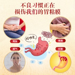太阳神 保健胃胀气调理菌片猴头菇