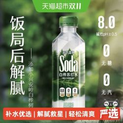 元气森林 碱性白桦苏打水360ml*15瓶