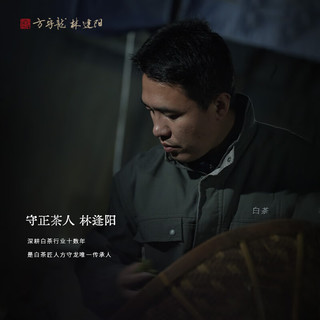 方守龙 2025年三级白牡丹 50g 福鼎白茶