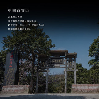方守龙 2025年三级白牡丹 50g 福鼎白茶