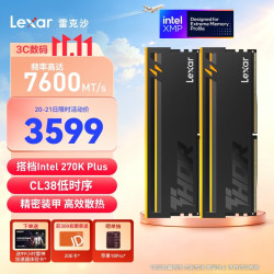 雷克沙 DDR5 7600 32GB(16GB×2)套条 电竞RGB灯条台式内存条 CL38 国产颗粒 Thor雷神之刃二代 黑色