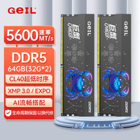 GeIL 64GB(32GBx2)套装 DDR5 5600 台式机电脑内存条  巨蟹马甲条系列金属灰C40