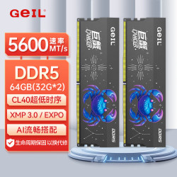 GeIL 64GB(32GBx2)套装 DDR5 5600 台式机电脑内存条  巨蟹马甲条系列金属灰C40