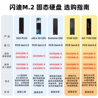 闪迪 PCIe固态硬盘1TB 新品Optimus GX7100