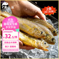 黄小渔 宁德海捕小黄鱼净重2斤30-36条 冷冻黄花鱼烤鱼烧烤食材