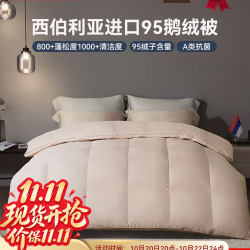 京东京造 西伯利亚进口95%白鹅绒冬季羽绒被 2*2.3m约5.4斤