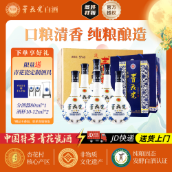 青花瓷 淡雅53度清香型白酒整箱口粮纯粮食酒婚宴喜酒礼盒送礼杏花村产区 53度 500mL 6瓶