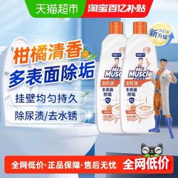威猛先生 洁厕液洁厕净500g*2瓶