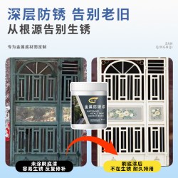 友铭 铁门翻新防锈油漆金属防盗门漆大门改色专用门漆自刷家用铁漆喷漆0.5KG底漆+1KG面漆