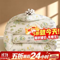 一默 100%新疆棉花冬被加厚里外全棉被 150*200cm