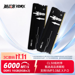 酷芯客 16GB套装 DDR5 6000 台式机内存条 剑客马甲条 C38 暗夜黑 AI电脑存储配件