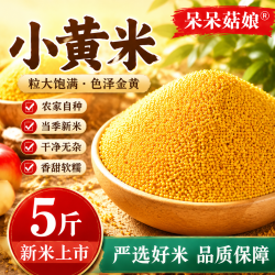 呆呆菇娘 小黄米5斤 黄糯米糯小米油小米无麸质谷物米新米香糯颗粒饱满A 小黄米