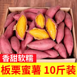 言觉 板栗蜜薯10斤红薯西瓜红 沙地蜜薯小香薯新鲜河南地瓜山芋现挖 红薯 甄选带箱9-10斤装