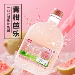 初饮 油柑芭乐橘皮油柑玻璃瓶265g*1瓶100%混合果汁