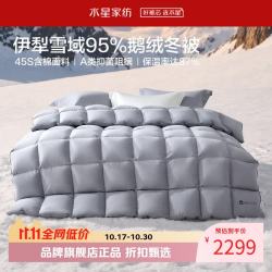 水星家纺 A类抑菌阻螨95%鹅绒冬被芯防钻绒秋冬羽绒被子 寒域静暖抗菌鹅绒冬被150×210cm