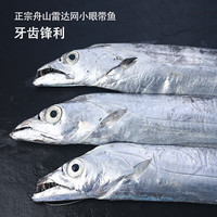 鲜京采 冰鲜舟山带鱼 整条3斤8-9条 箱装