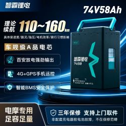 智霸 锂电 长续航电摩专用大锂电三元锂电池