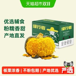 绿行者 板栗味贝贝南瓜 1.5kg