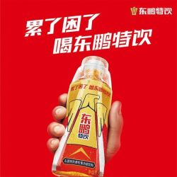 东鹏特饮 维生素功能饮料 500ml*24瓶