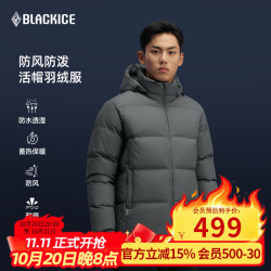 黑冰 24户外650蓬鸭绒男款加厚防风保暖羽绒服 铁灰 L