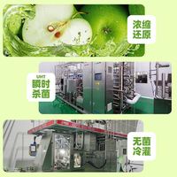 菲里维尔 0脂 苹果汁