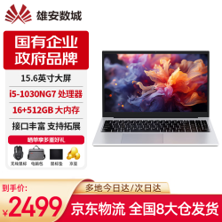 其它 雄安数城笔记本电脑 N156MXA 英特尔i5 轻薄高性能 15.6英寸IPS大屏商务办公本 学生专用轻薄本16G+512G