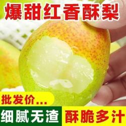 正宗红香酥梨梨子当季新鲜水果香梨整箱批发应季水果