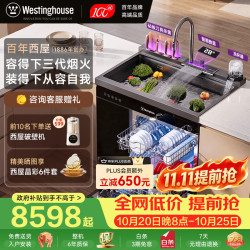 西屋电气 西屋集成水槽洗碗机气爆洗超声波果蔬清洗家用双层嵌入式碗柜14套洗碗机一体机 JCX-E8L 900mm/刀架消毒/50L