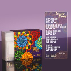 GEE coffee寻豆师基因库咖啡挂耳礼盒10g*10包五款庄园手冲粉
