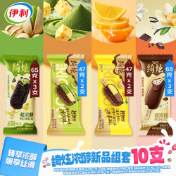 伊利 绮炫曲奇开心果生巧香草厚抹咸奶酪味冰淇淋 578g