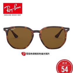 雷朋 RayBan雷朋太阳镜男女款时尚前卫个性防眩光墨镜0RB4306F 601/9A黑色镜框绿色偏光镜片 54