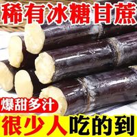 广西大甘蔗