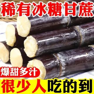广西大甘蔗