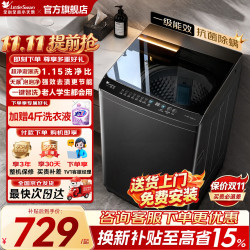 小天鹅 波轮洗衣机全自动10kg大容量 智能预约一键智洗省水省电一级能效 10公斤 超净洗1.15洗净比22P