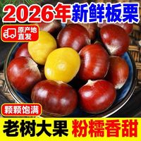 百亿补贴：甄鲜果优 净5.5斤丹东板栗】新下树板栗新鲜板栗丹东当季大板栗生栗子