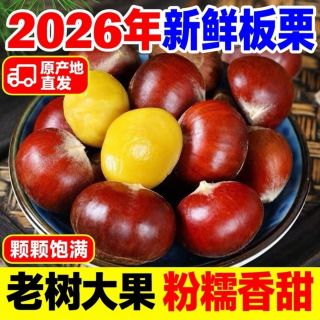 百亿补贴：甄鲜果优 净5.5斤丹东板栗】新下树板栗新鲜板栗丹东当季大板栗生栗子