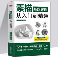 《素描零基础教程从入门到精通 》