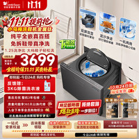 小天鹅（LittleSwan）小乌梅洗鞋机 波轮洗衣机全自动家用 3KG抽屉式