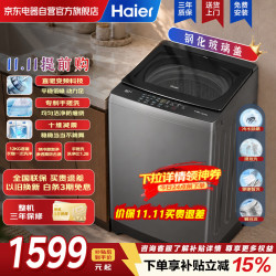 海尔 波轮洗衣机12公斤小红花大容量全自动防缠绕家用直驱变频一级能效 十维减震