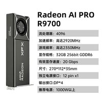 讯景 AMD Radeon R9700 32G 海外版AI工作站专业显卡AI开发