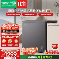 容声 无霜王181L单温冰柜小型家用风冷无霜变频新一级能效-40℃超低温冷柜BD/BC-181D50HELBD