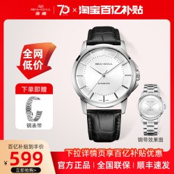 海鸥 Seagull海鸥手表休闲时尚防水简约大三针自动机械表男款海纳6066