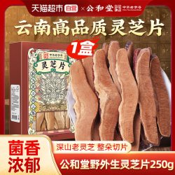 SUN CLARA 桑黄特选正宗中草药材级西藏野外生45年搭长白山灵芝片打粉泡水喝