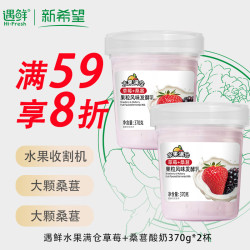 新希望 活润 果粒风味发酵乳 草莓+桑葚味 370g*2杯