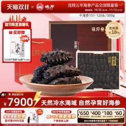 晓芹 海参淡干海参海参干货辽刺参101-120头500g海参礼盒