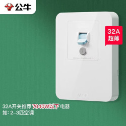 公牛 GTP系列 LE2 32A漏电保护开关 86型