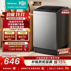 海信 全自动波轮洗衣机10KG大容量家用租房 一级能效除螨洗WT100N1Q