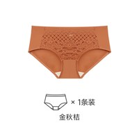 FaLeeOn FASHIEN 贵夫人 女士桑蚕丝抗菌性感内裤 FA5189